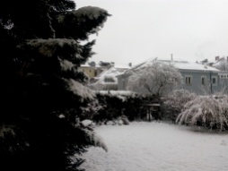 My 'winter wonderland' of a backyard :)